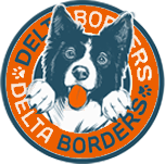 Border Collie Store